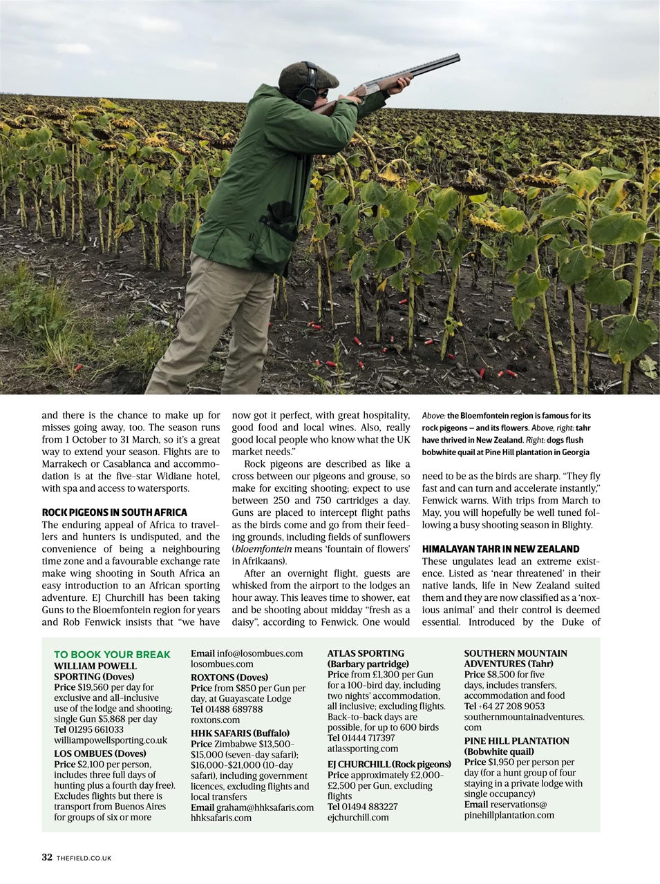 The Field Preview Pages