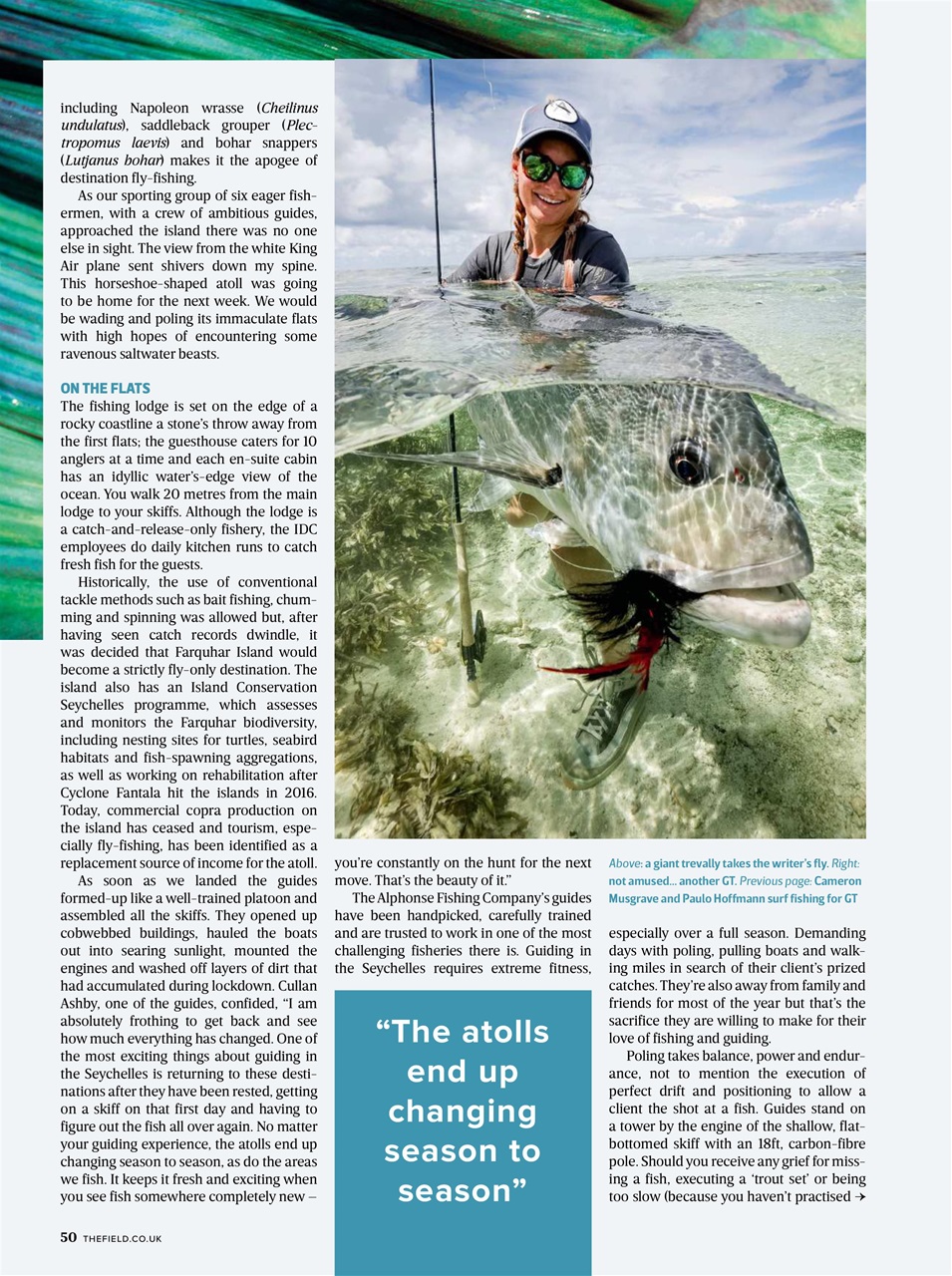 The Field Preview Pages