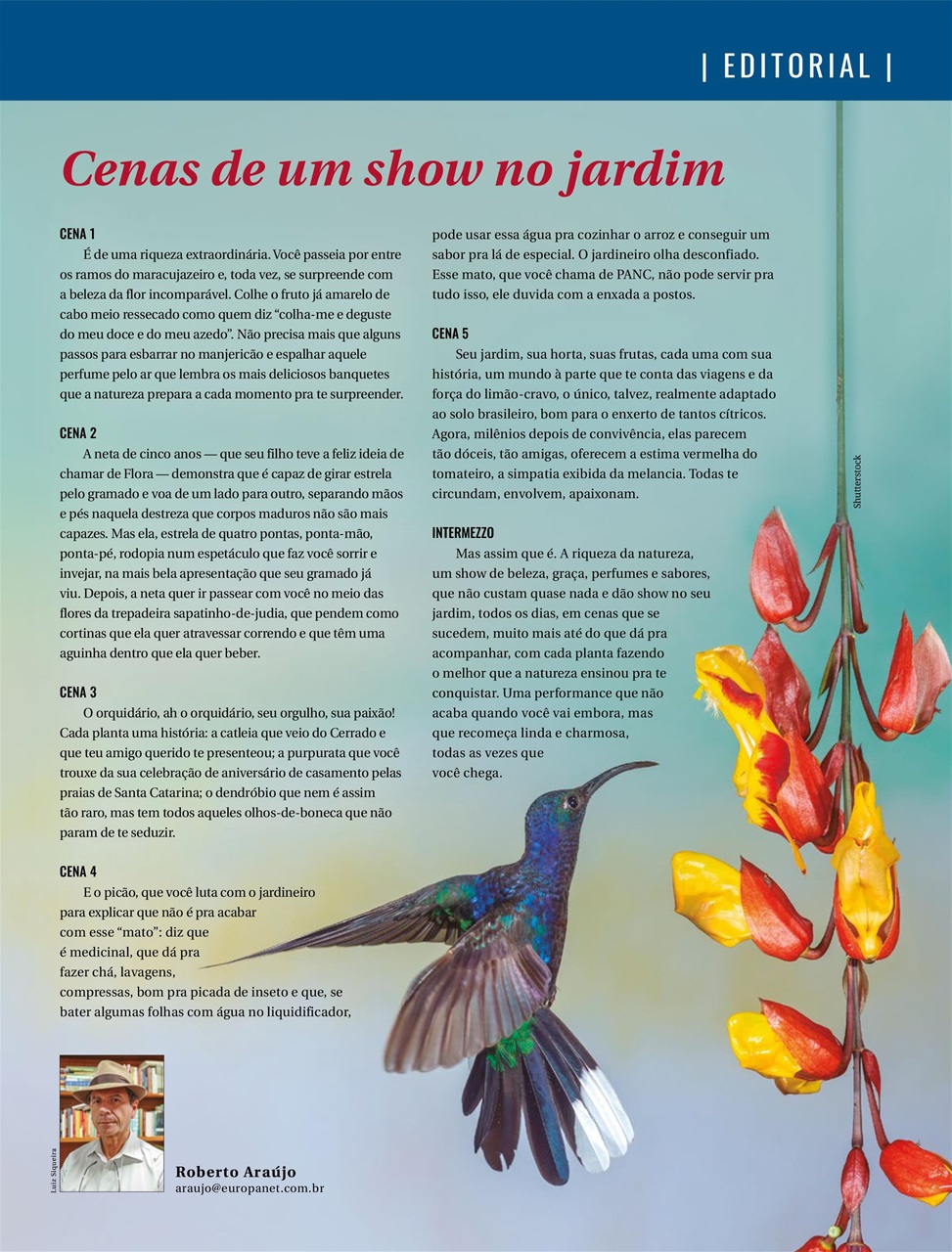 Natureza Preview Pages