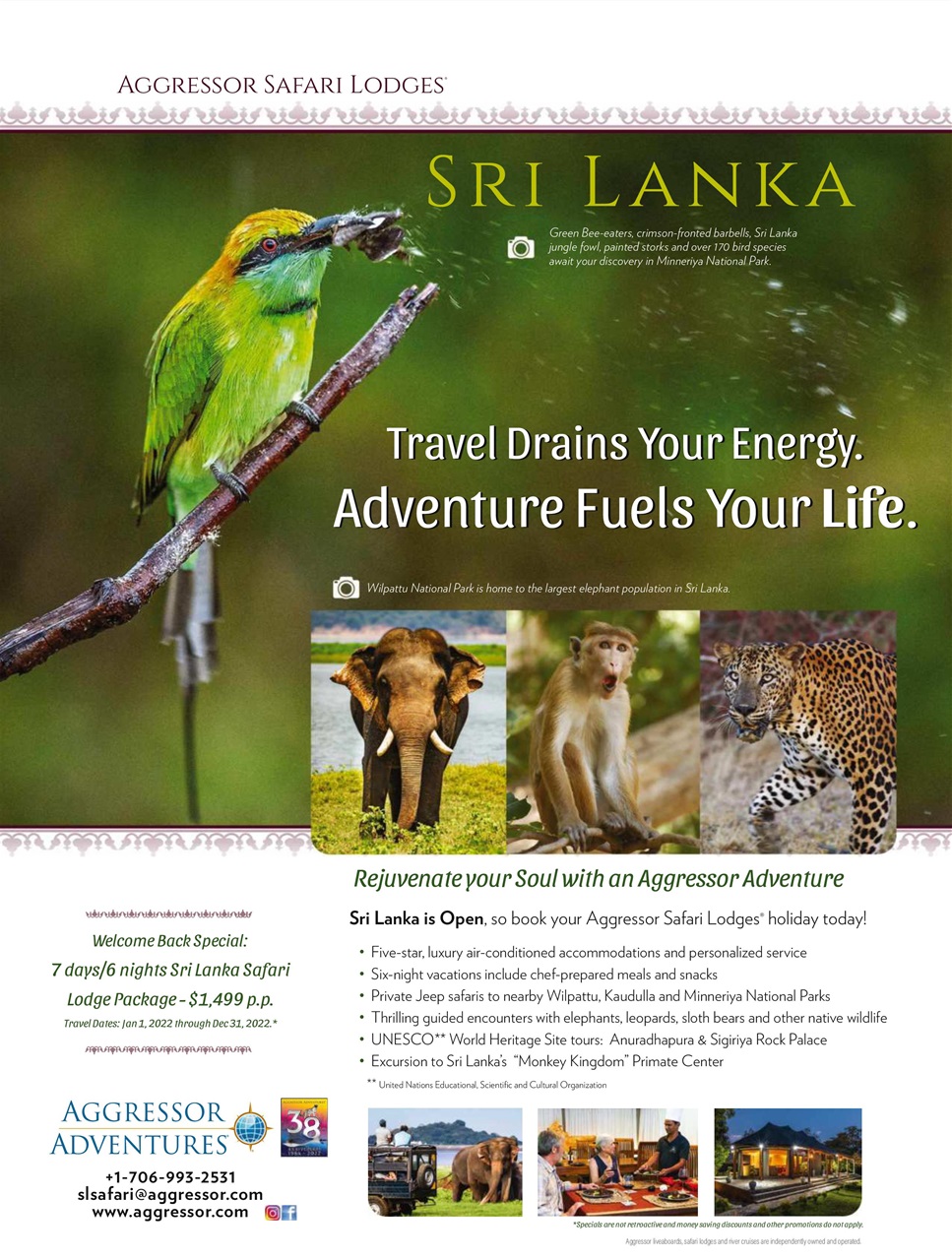 BBC Wildlife Magazine Preview Pages