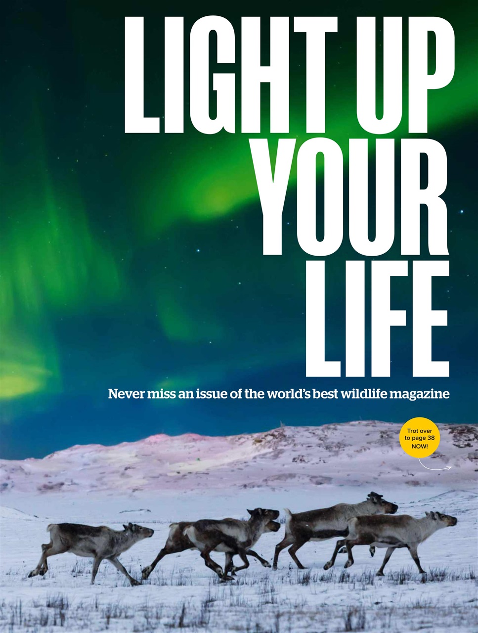 BBC Wildlife Magazine Preview Pages