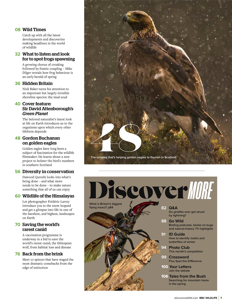 BBC Wildlife Magazine Preview Pages