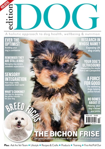 Edition Dog issue Edition Dog Issue 40