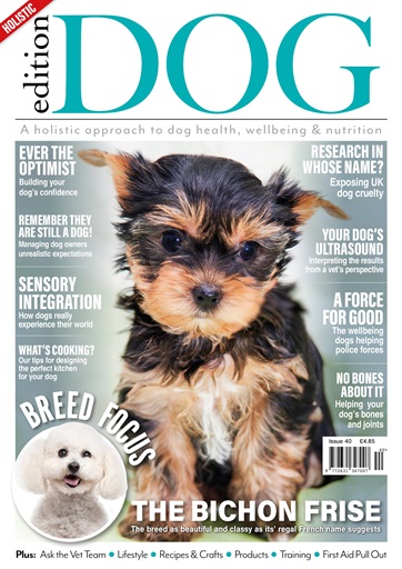 Edition Dog issue 
