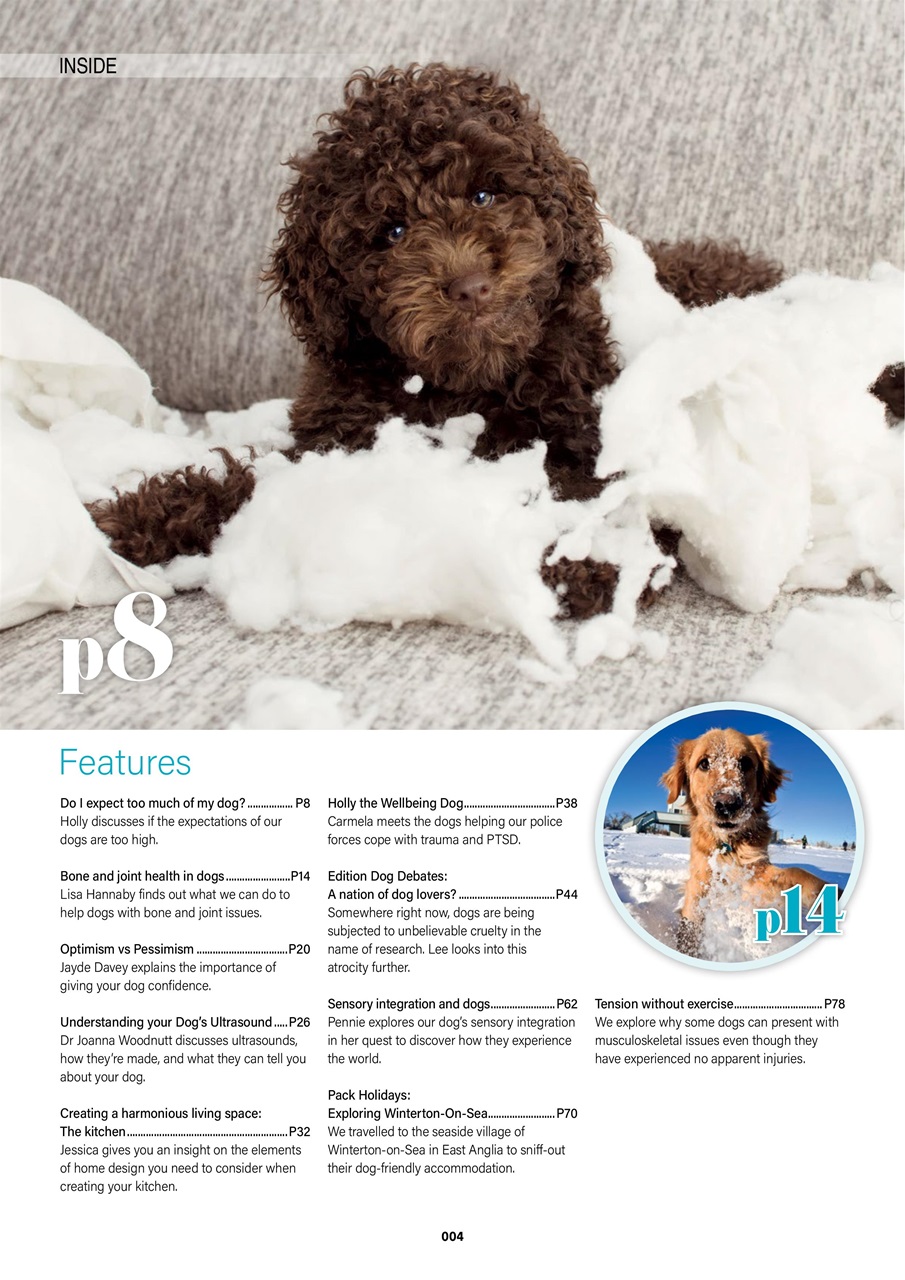 Edition Dog Preview Pages