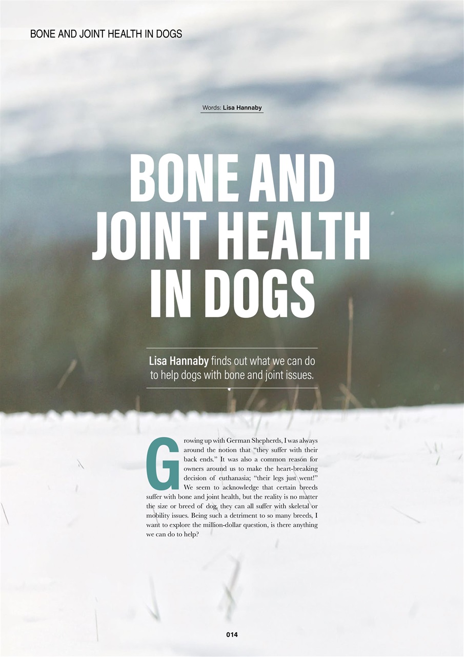 Edition Dog Preview Pages