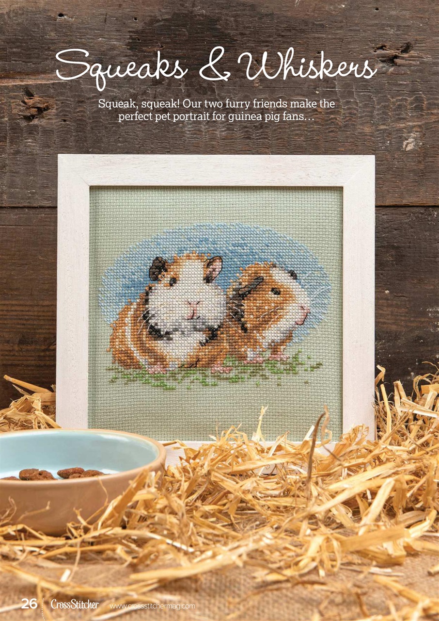 CrossStitcher Preview Pages