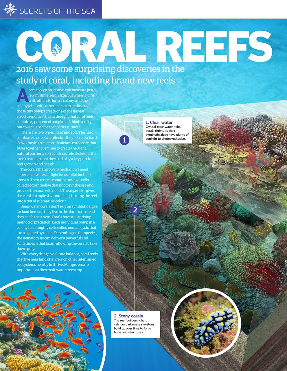 How It Works Bookazine Preview Pages