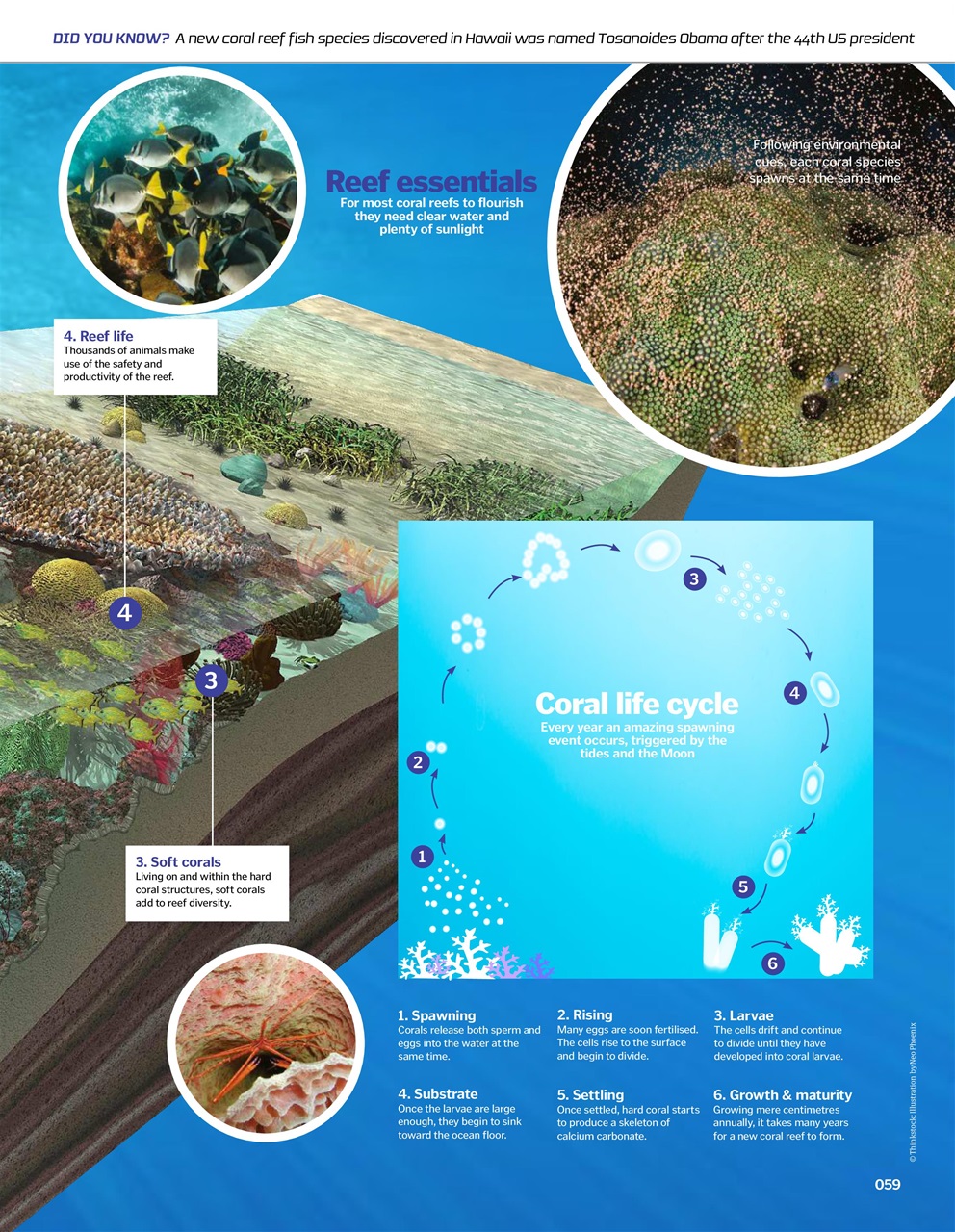 How It Works Bookazine Preview Pages