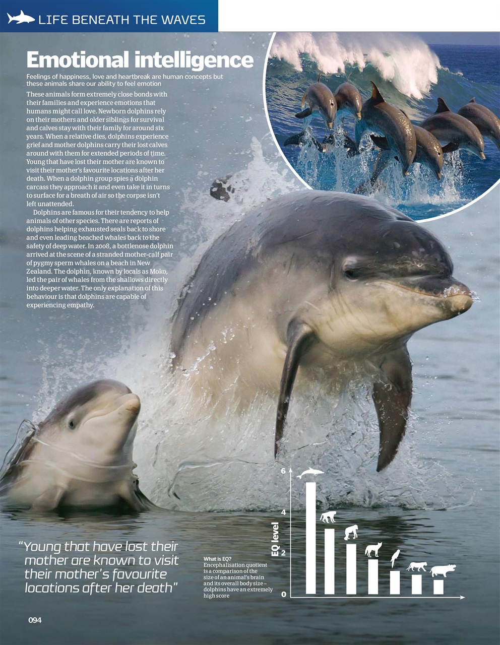 How It Works Bookazine Preview Pages