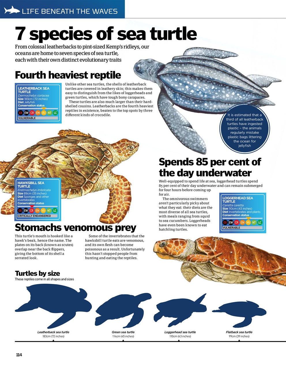 How It Works Bookazine Preview Pages