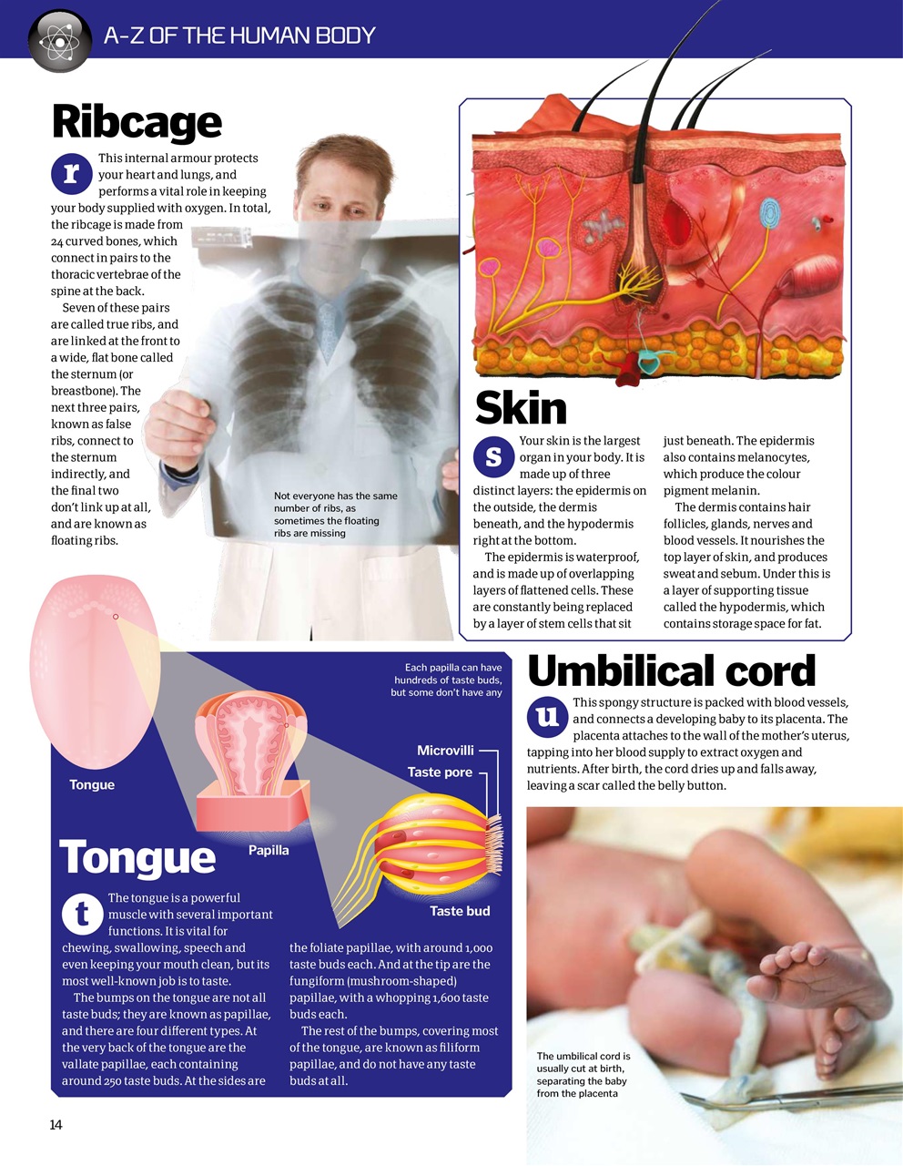 How It Works Bookazine Preview Pages