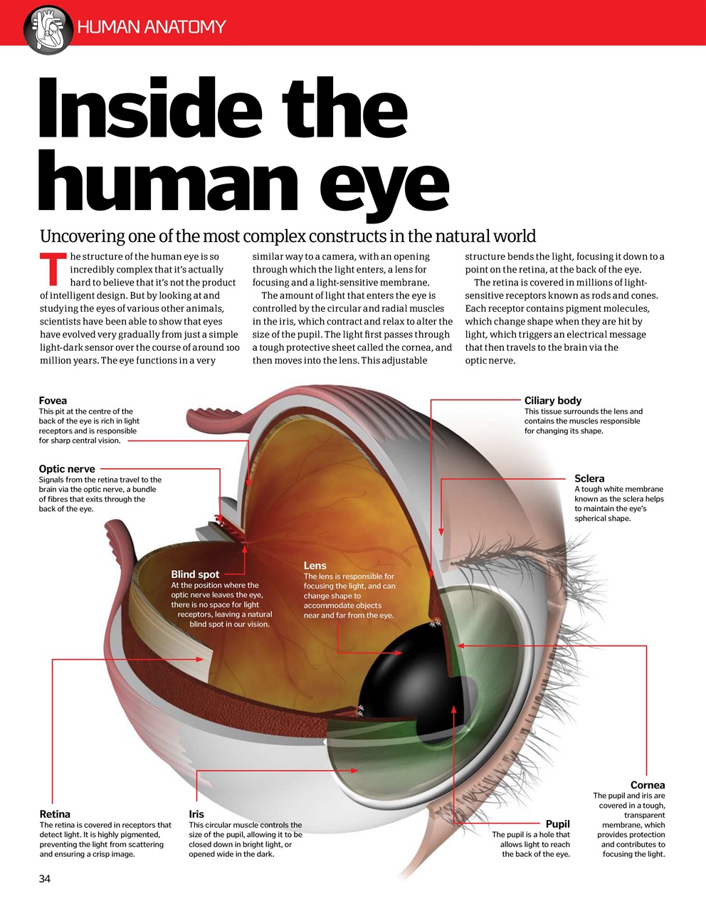 How It Works Bookazine Preview Pages