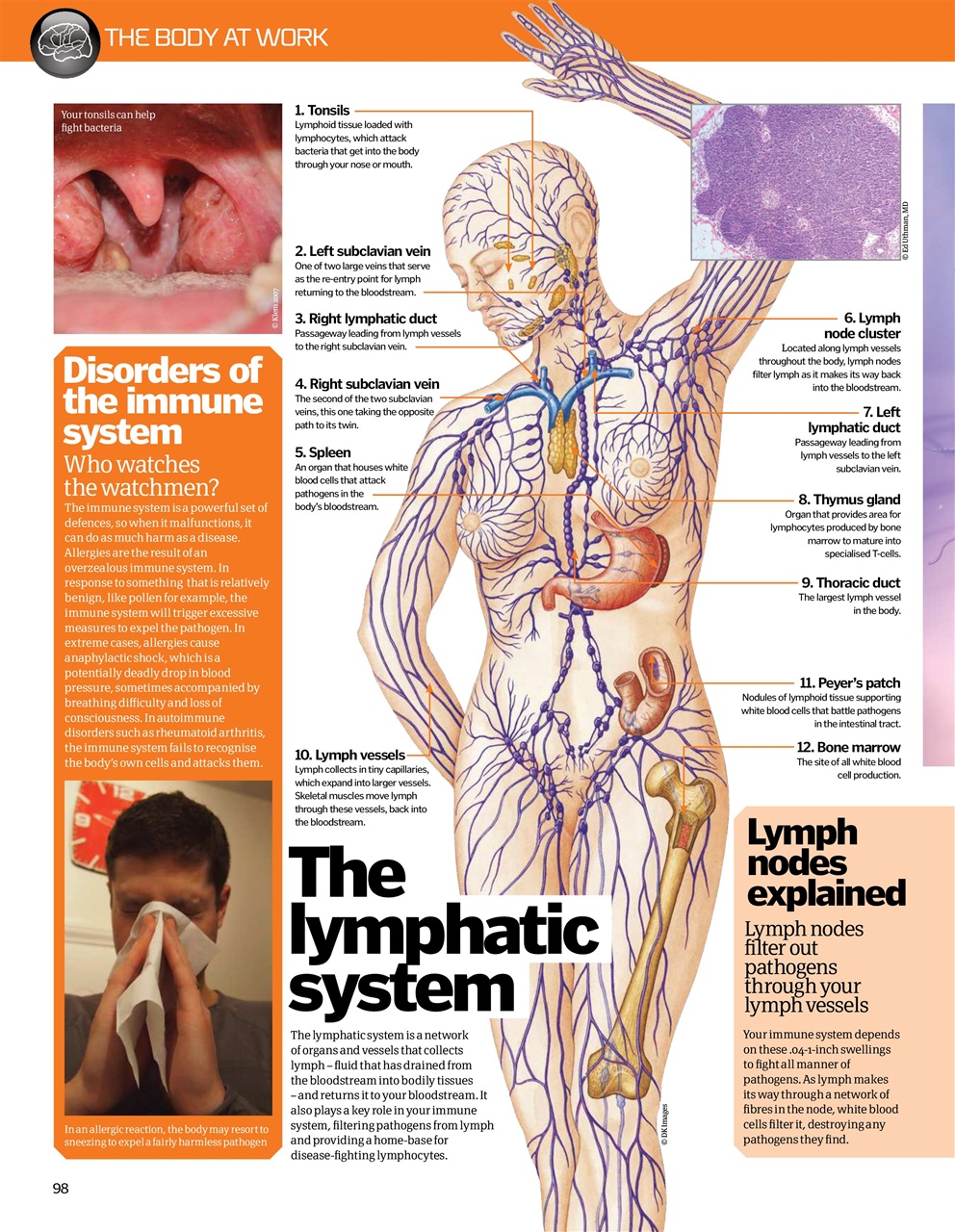 How It Works Bookazine Preview Pages
