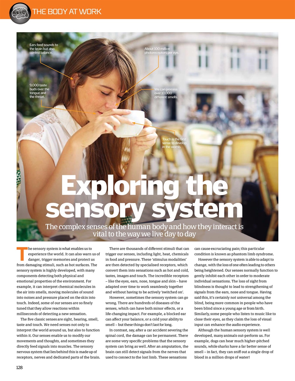 How It Works Bookazine Preview Pages