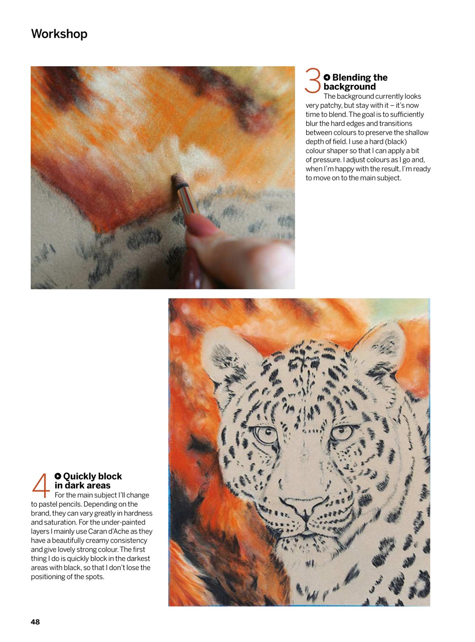 Creative Bookazine Preview Pages
