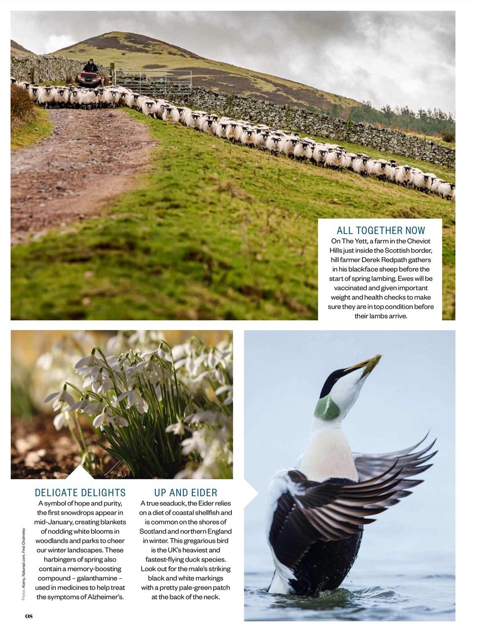 BBC Countryfile Magazine Preview Pages