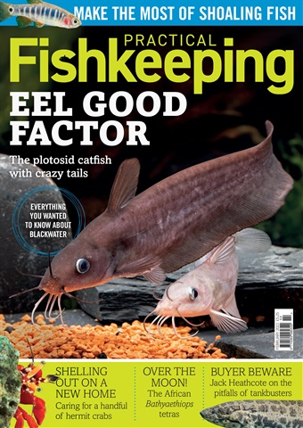 Practical Fishkeeping issue Practical Fishkeeping Magazine February 2022