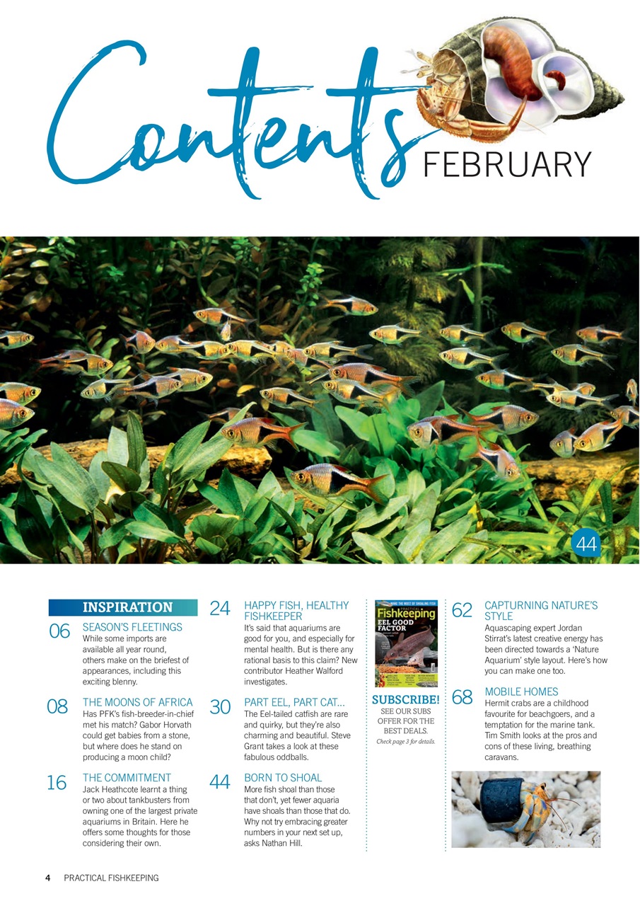 Practical Fishkeeping Preview Pages