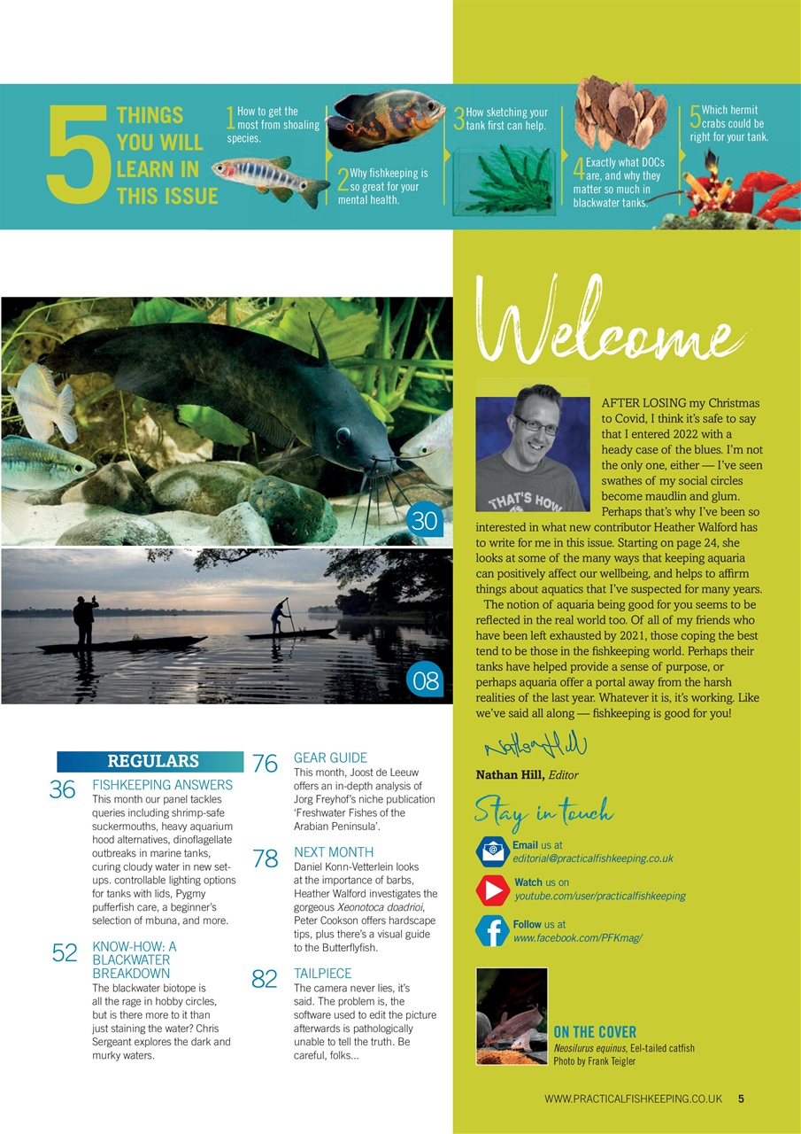 Practical Fishkeeping Preview Pages