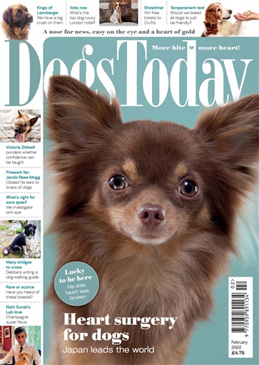 Dogs Today Magazine issue 