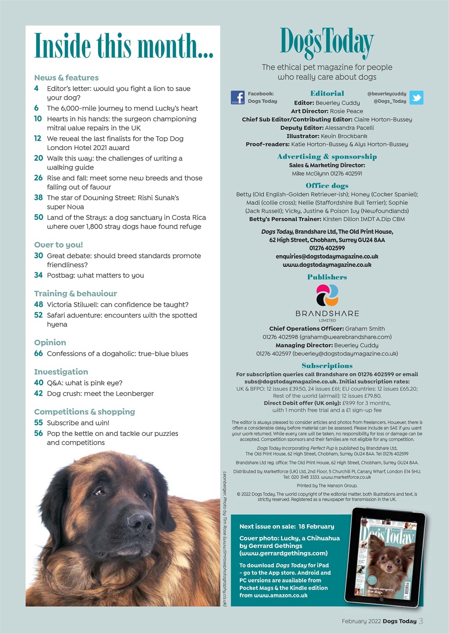 Dogs Today Magazine Preview Pages