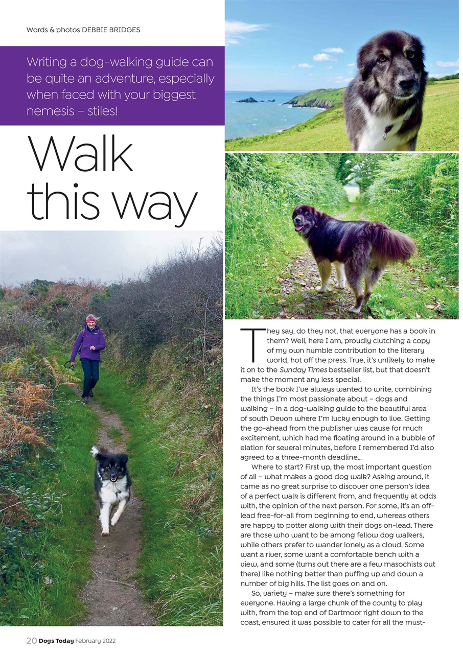 Dogs Today Magazine Preview Pages