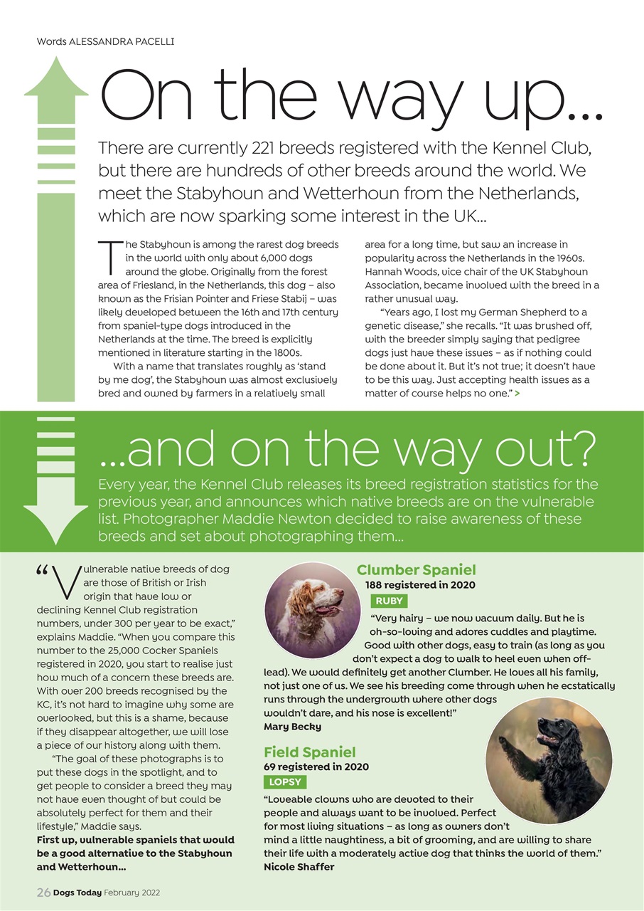 Dogs Today Magazine Preview Pages