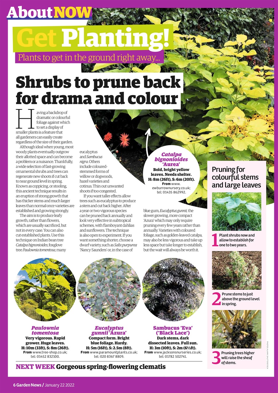 Garden News Preview Pages