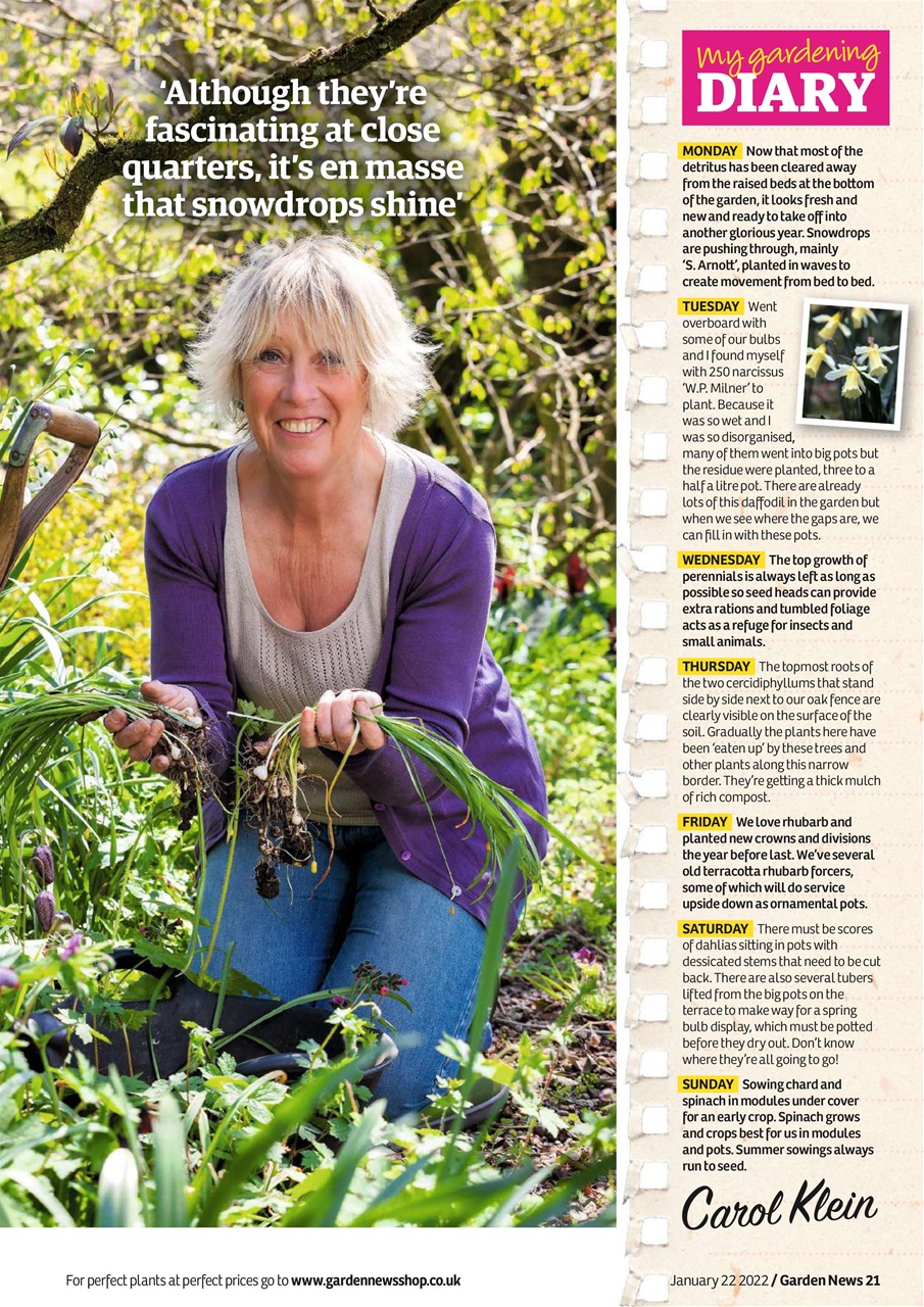 Garden News Preview Pages