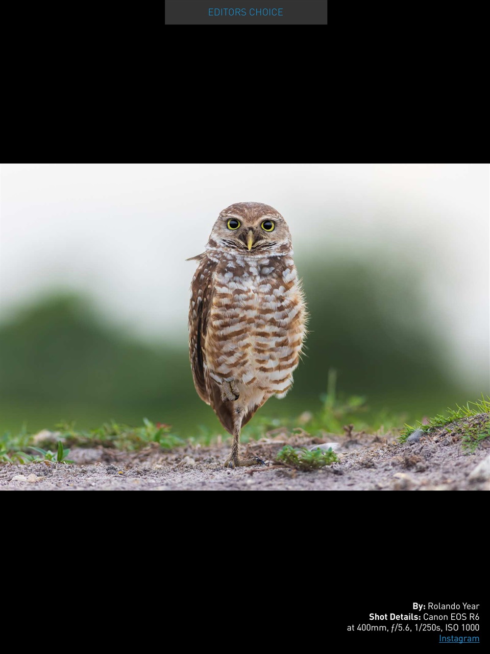 Photography Masterclass Magazine Preview Pages