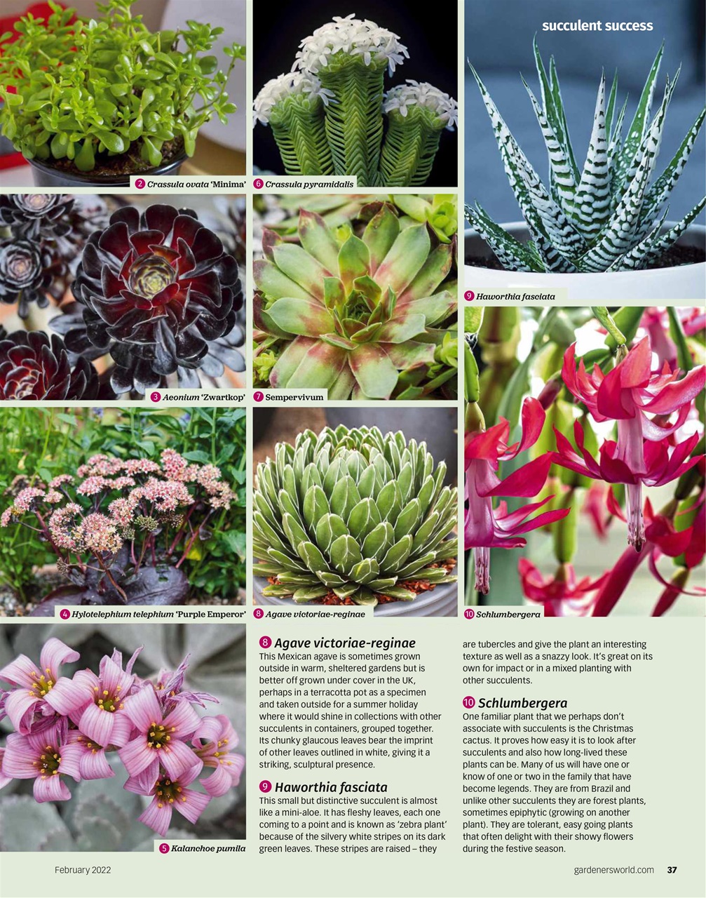 BBC Gardeners’ World Magazine Preview Pages