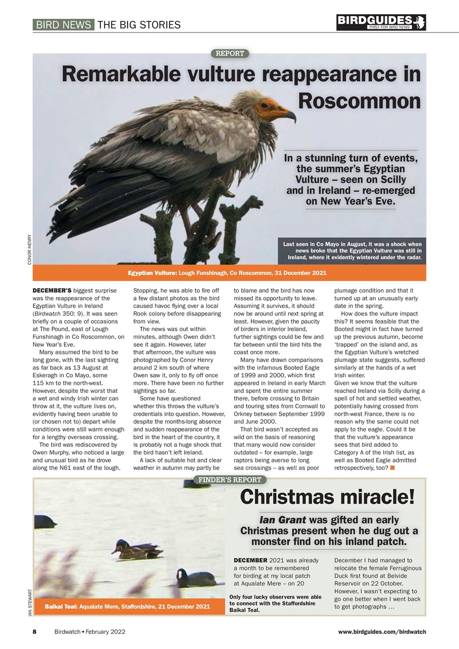 Birdwatch Magazine Preview Pages