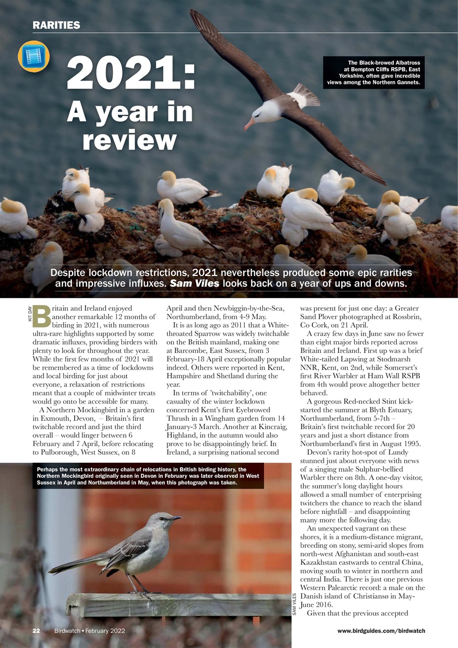 Birdwatch Magazine Preview Pages