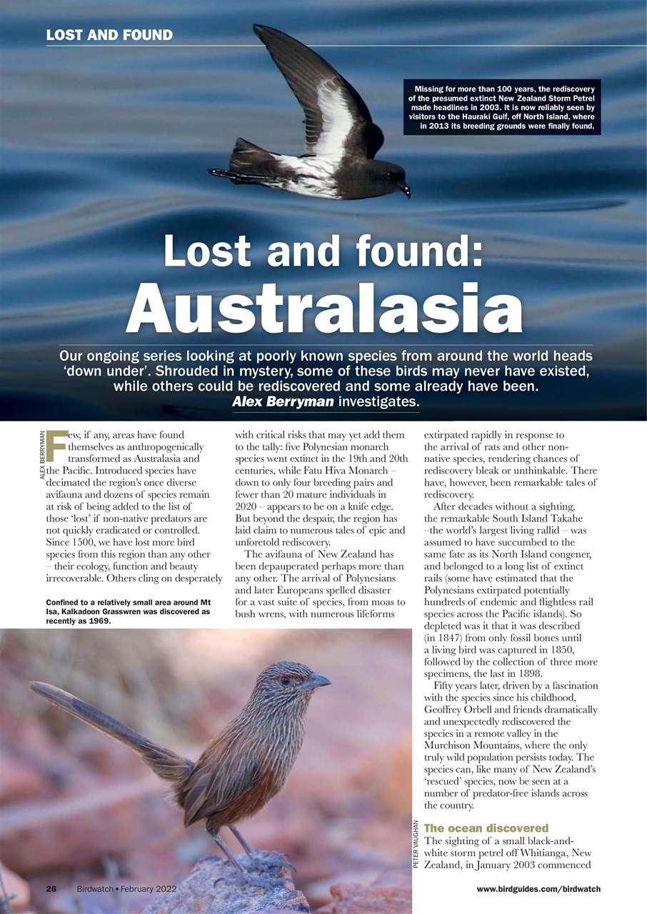 Birdwatch Magazine Preview Pages