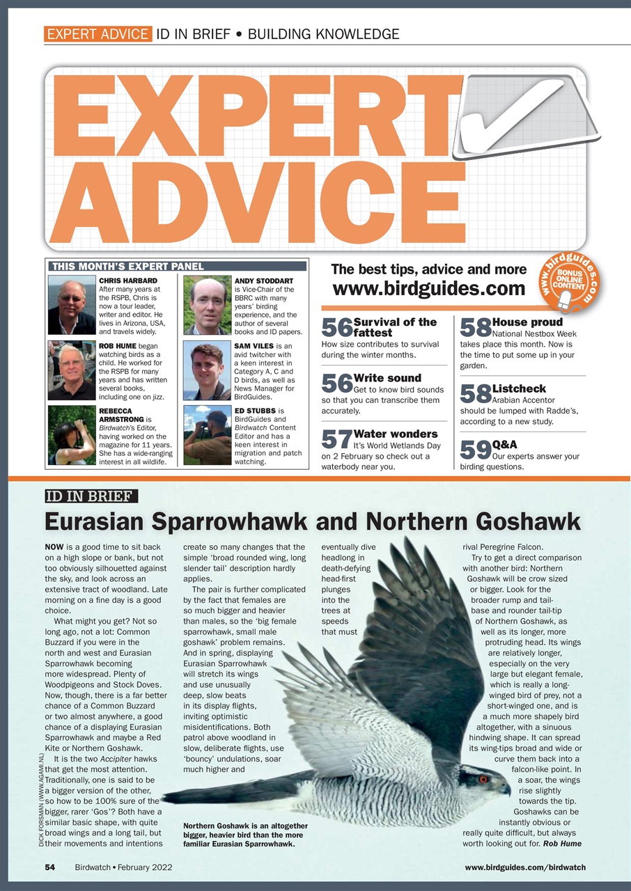 Birdwatch Magazine Preview Pages