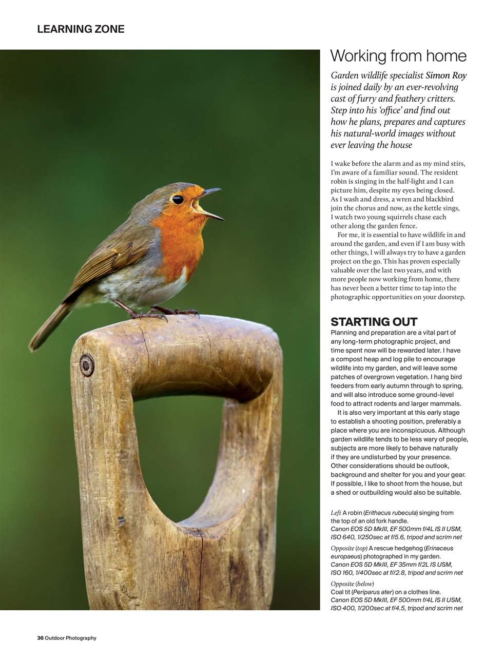 Outdoor Photography Preview Pages