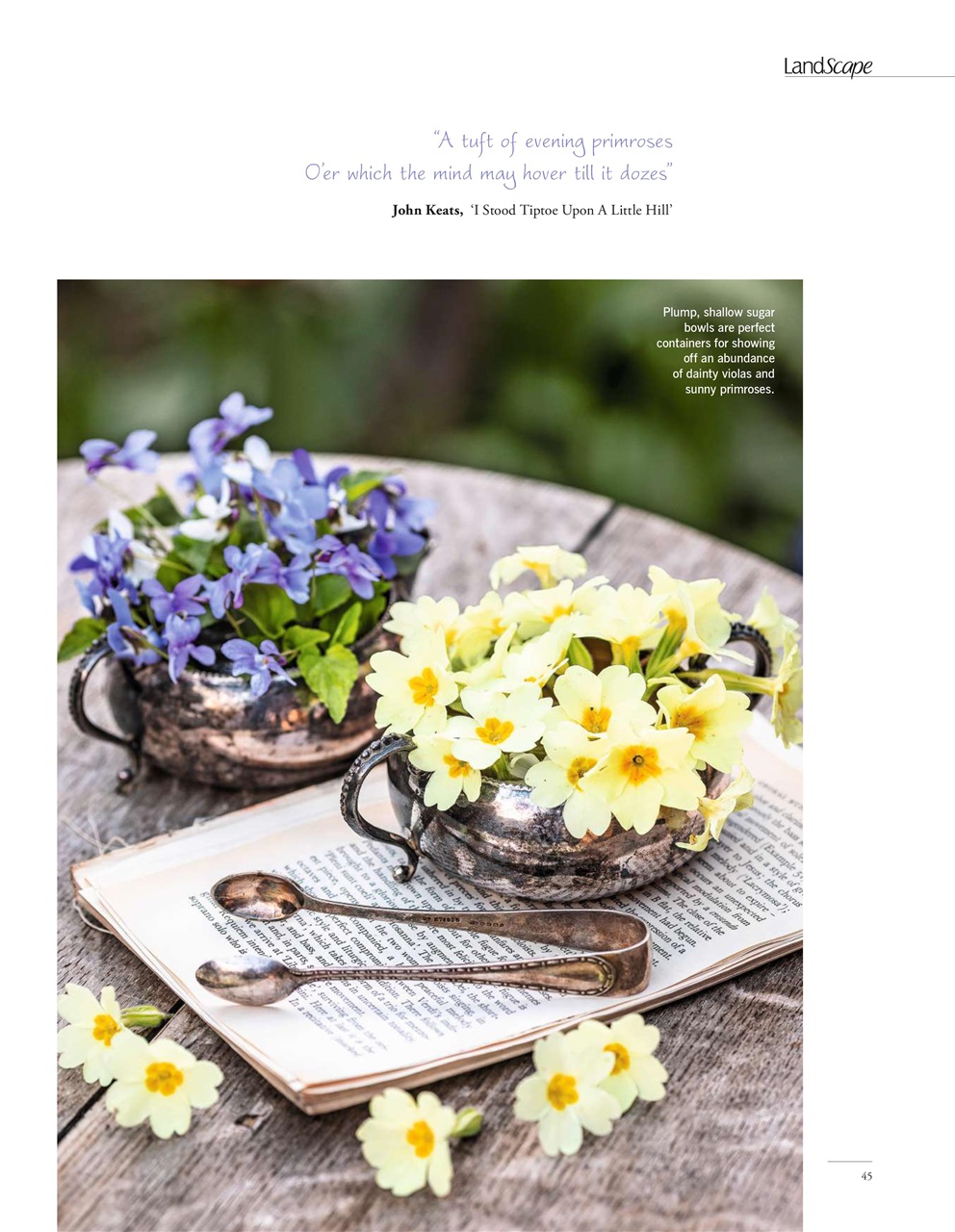 LandScape Preview Pages