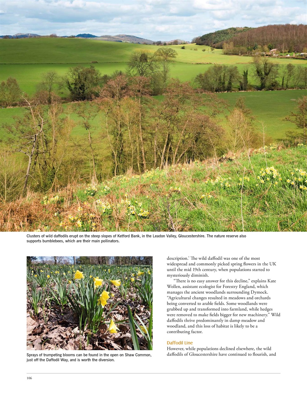 LandScape Preview Pages