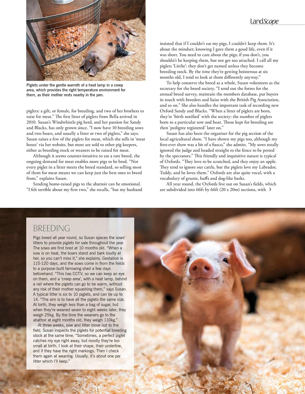 LandScape Preview Pages