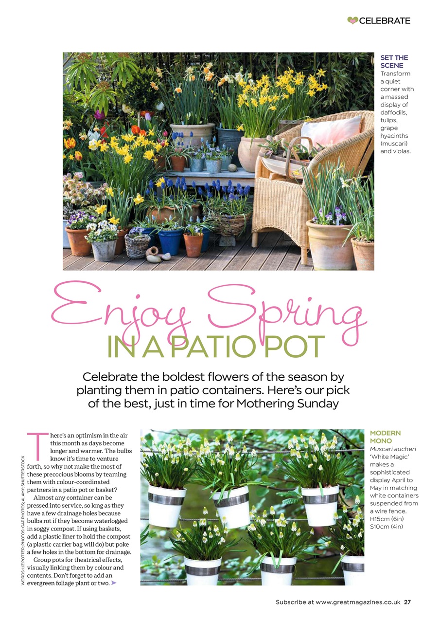 Garden Answers Preview Pages