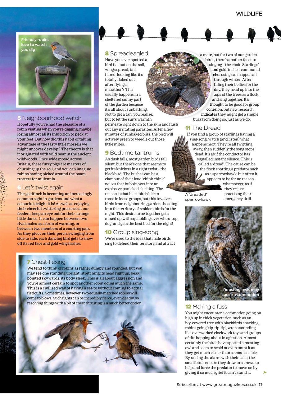 Garden Answers Preview Pages