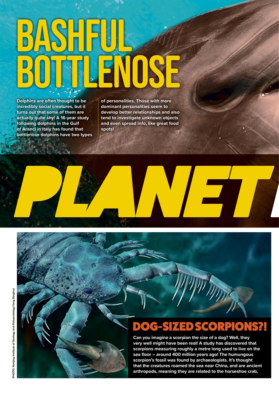 Animal Planet Kids Preview Pages