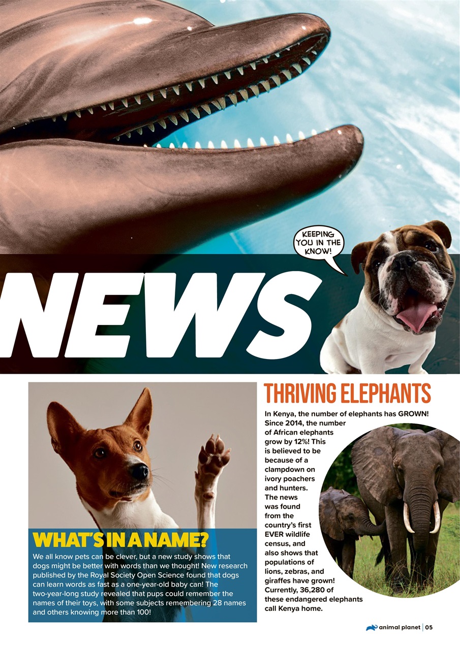 Animal Planet Kids Preview Pages
