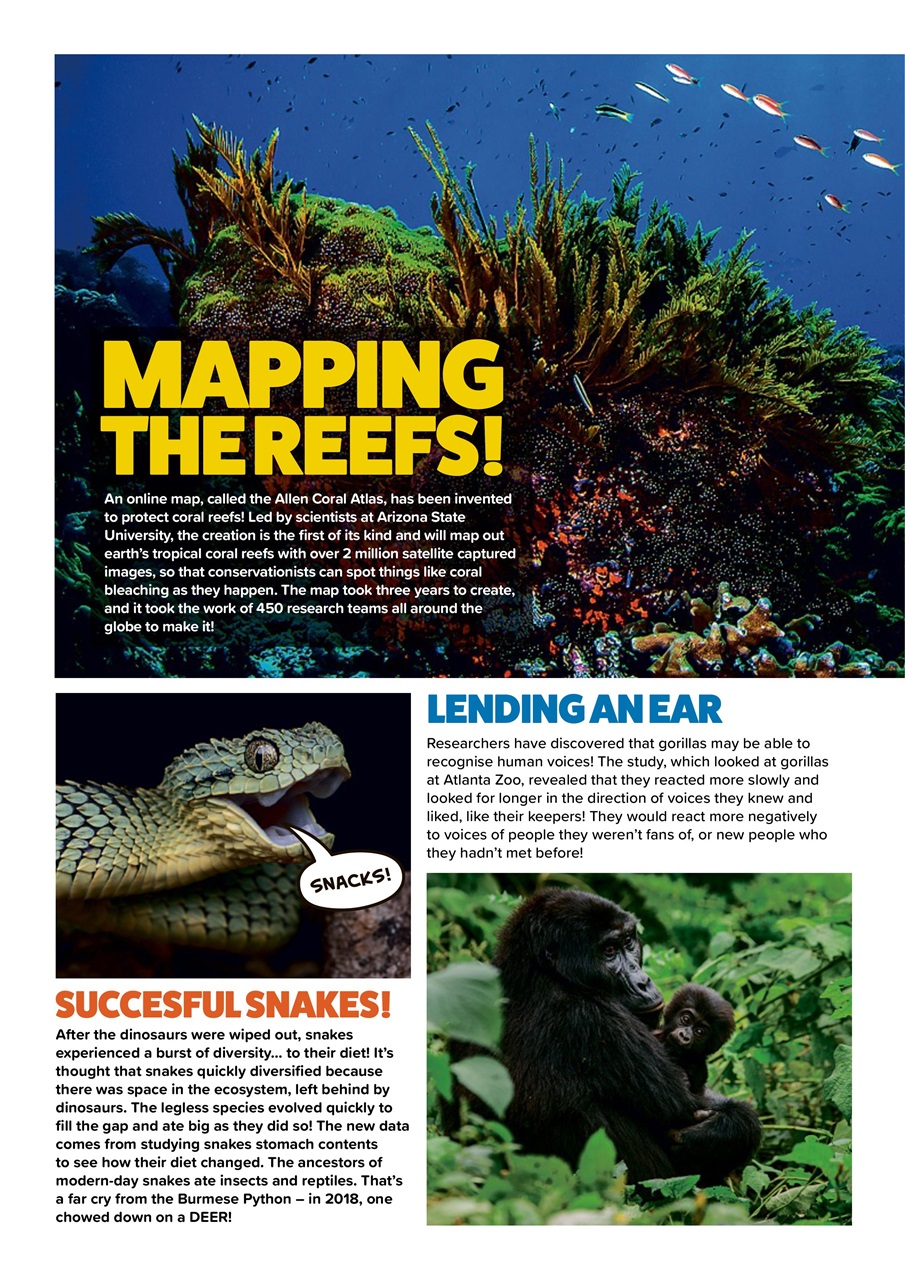 Animal Planet Kids Preview Pages