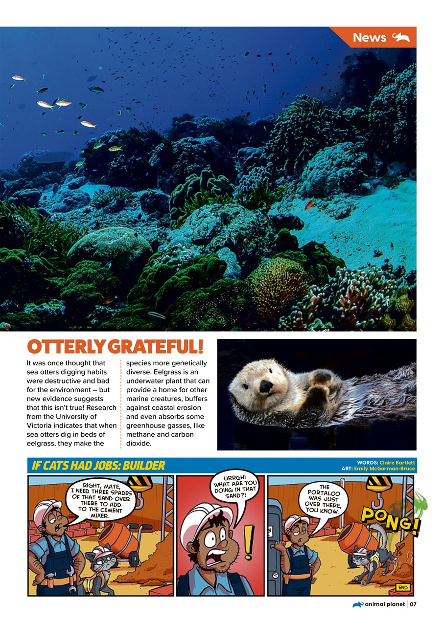 Animal Planet Kids Preview Pages