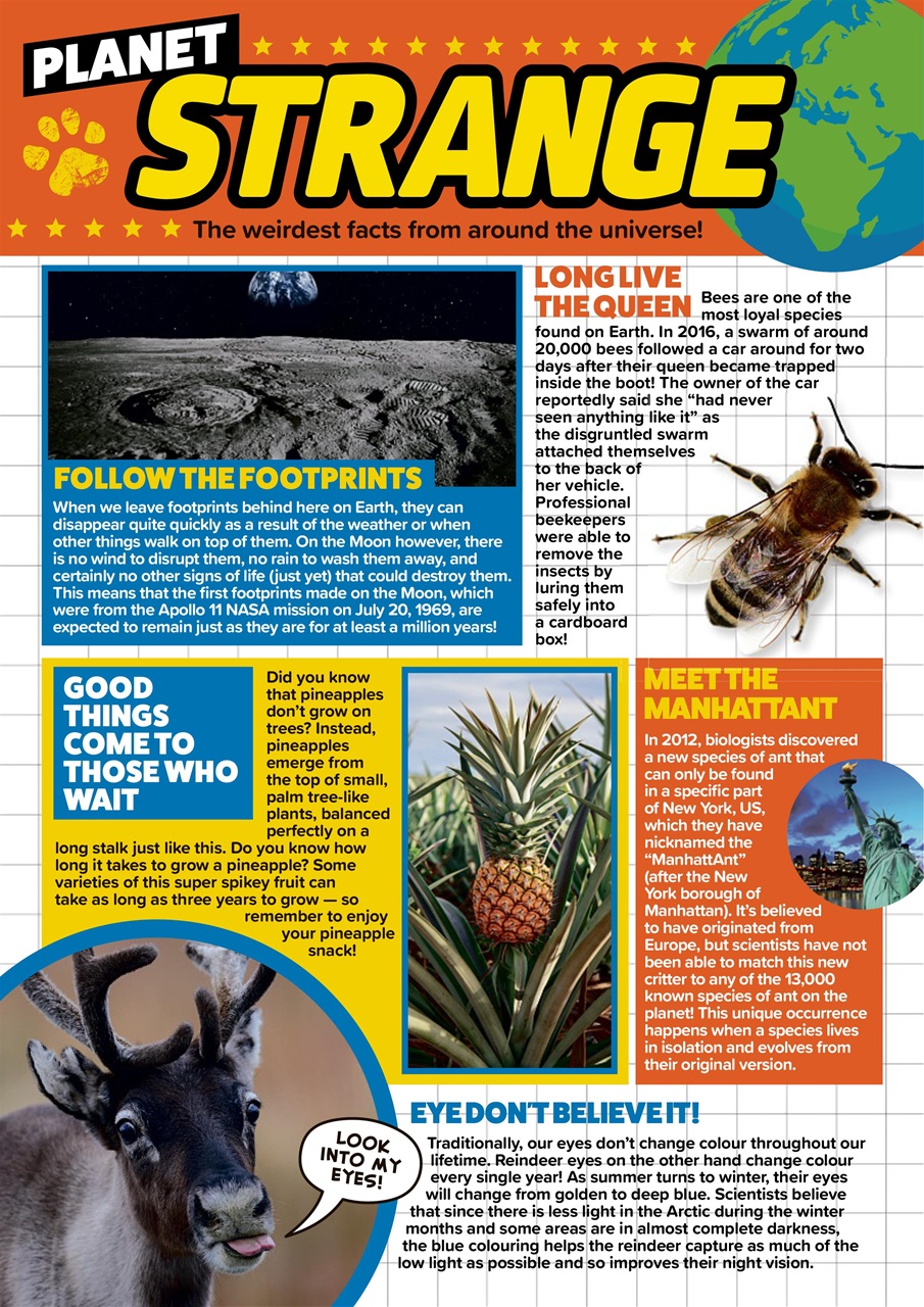 Animal Planet Kids Preview Pages