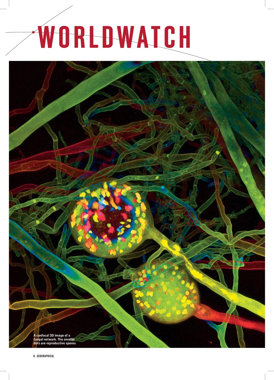 Geographical Preview Pages