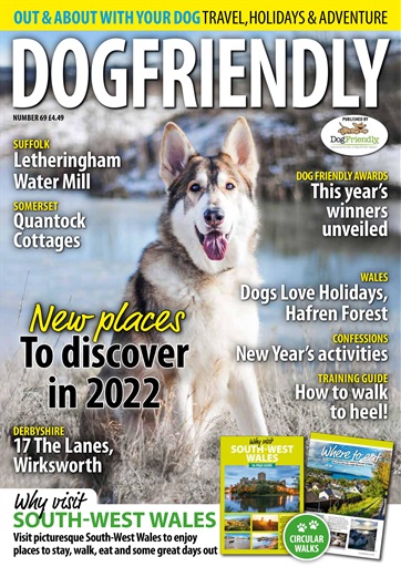 Dog Friendly issue 