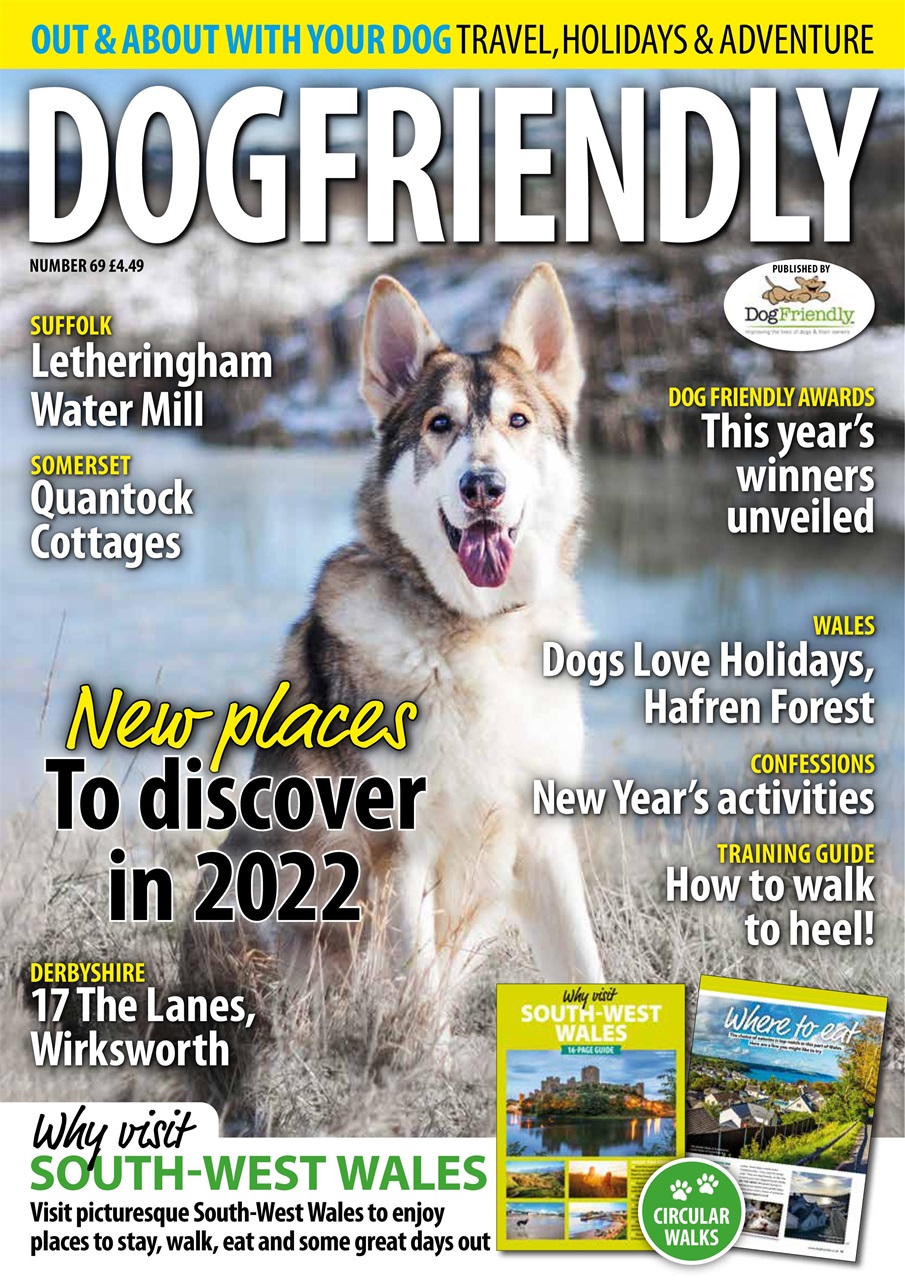 Dog Friendly Preview Pages